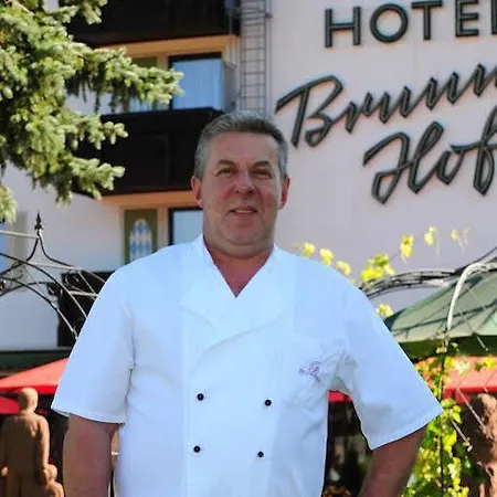 Best Western Hotel Brunnenhof