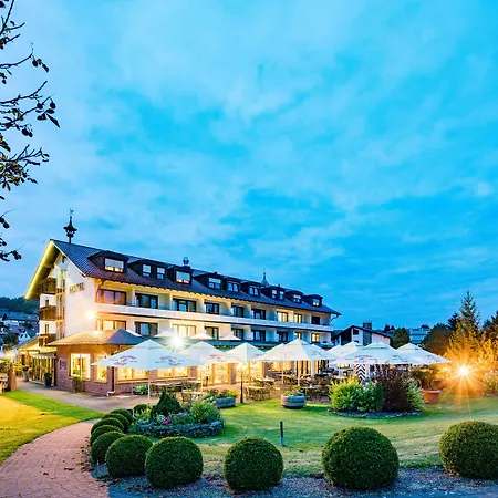 Hotel Western Brunnenhof 3*